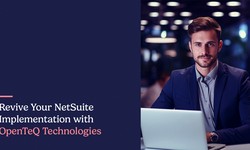 OpenTeQ - Unleashing the Potential of NetSuite Development Company