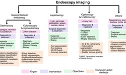 Types of Endoscopy and Digestive and Diseases | A Complete Guide