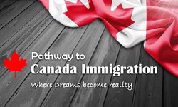 BEST WAY TO CHOOSE THE RIGHT IMMIGRATION CONSULTANT