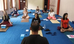 Everything You Need to Know About 200 Hour Yoga Teacher Training in Rishikesh