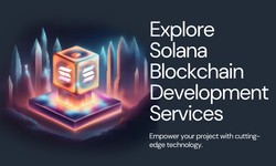 Shamla Solana Studios: Shaping the Future of Blockchain Development