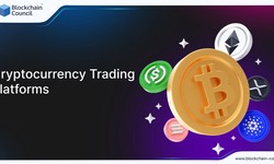 Cryptocurrency Trading Platforms: A Comparative Review