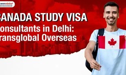 Canada Study Visa Consultants  in Delhi
