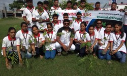 Shining Souls Trust: Leading the Green Revolution as the Best NGO in India