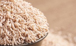Level Up Your Nutrition: Top Organic Rice Protein for You