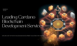 ShamlaTech Blockchain Services: Your Partner in Cardano Development