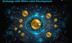 Revolutionize Your Crypto Ventures with White Label Solutions