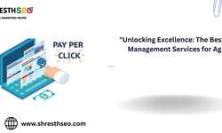 Unlocking Excellence: The Best PPC Management Services for Agra"