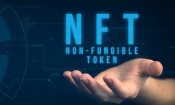 How to Identify the Top NFT Development Services Company