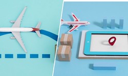 Optimizing Air Cargo Transport: Ideal Types of Goods for Aerial Shipping