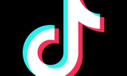 From TikTok to MP4: The Ultimate Downloader You Need