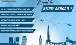 Best Study Abroad Consultants in Delhi