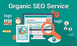 Organic SEO Services Company: Grow Traffic Organically and Sustainably