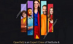 Unlocking Business Potential with a OpenTeQ NetSuite Developer: The Key to Seamless Integration and Optimization