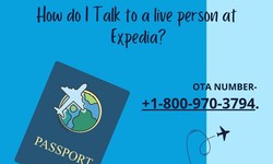 How do I Speak to a Person on Expedia?