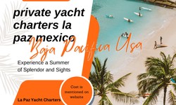 Book Private Charters Los Cabos to witness the best of the sea of Cortez