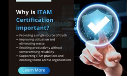 Why is ITAM Certification important?