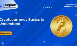 Cryptocurrency Basics to Understand