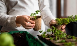 The Joy of Indoor Harvests: Exciting Vegetable Garden Ideas for Indoors