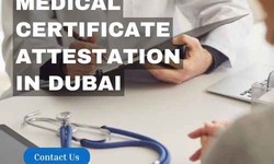 Common challenges faced by job seekers during the medical certificate attestation process and how to overcome them