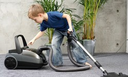 Revitalise Your Home: The Importance of Professional Carpet Cleaning