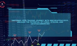 Empower Your Trading Journey with MrCheafPeacock: Unleash the Potential of Forex, Stocks, and Cryptocurrencies