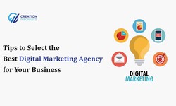 Tips to Select the Best Digital Marketing Agency for Your Business