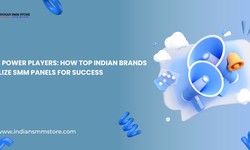 The Power Players: How Top Indian Brands Utilize SMM Panels for Success