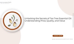 Tea Tree Essential Oil Price Guide: Quality and Affordability