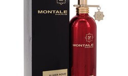 Montale Silver Aoud Perfume