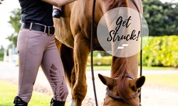 Use Sportsman Breeches to Enhance Your Horse Riding Experience