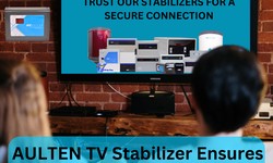 TV Voltage Stabilizers: The Unsung Heroes of Home Entertainment