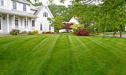 The Importance of Proper Watering in Lawn Care: Tips and Tricks