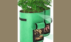 The Rise of Grow Bags: Transforming Gardening for Modern Lifestyles