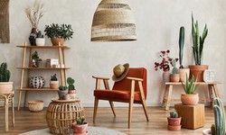 Decor Corner: Elevate Your Space with Unique Home Decor