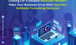 Enhancing Efficiency and Growth NetSuite Data Migration | OpenTeQ Consultant