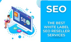 The Advantages of White-Label Local SEO for Digital Agencies and Clients