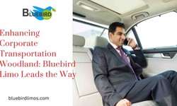 Enhancing Corporate Transportation Woodland: Bluebird Limo Leads the Way