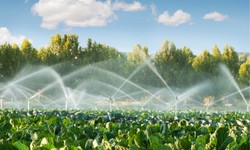 Commercial Irrigation Systems in Westchester County
