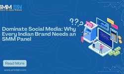 Dominate Social Media: Why Every Indian Brand Needs an SMM Panel