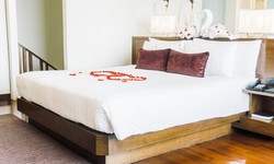 Transform Your Bedroom: Discover the Top Beds for Sale in Wolverhampton