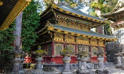 Unveil Tokyo's Charms with Customized Private Tours