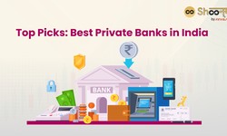 Banking Brilliance: A Closer Look at Top Private Banks in India