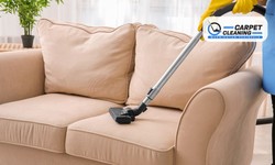 Transform Your Living Space with Expert Upholstery Cleaning Techniques