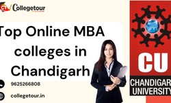Top Online MBA colleges in Chandigarh