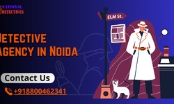 Why Choose the Detective Agency in Noida