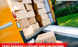 Green Moving: Best Option for Budgeted Shifting with Packers and Movers in Delhi