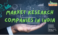 Market Research Companies In India