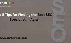 Top 5 Tips for Finding the Best SEO Specialist in Agra