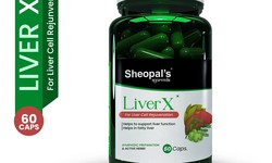 Preventing Fatty Liver: Lifestyle Tips for Liver Health and Wellness